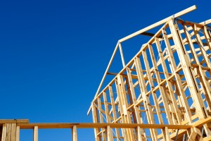 article - competency frameworks
