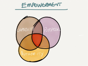 article - overuse of business models - empowerment