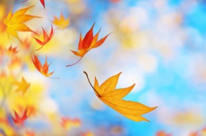 Winds of Change Newsletter