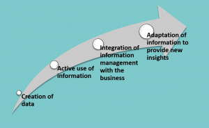 article - information asset value chain