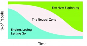 article - winds of change - bridges transition model