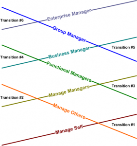 article - change growing organisation - leadership pipeline